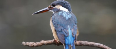 How to choose a Reel